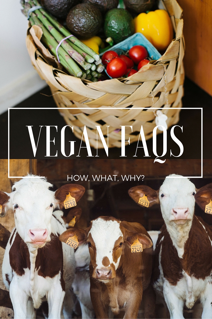 Vegan FAQs, how what why